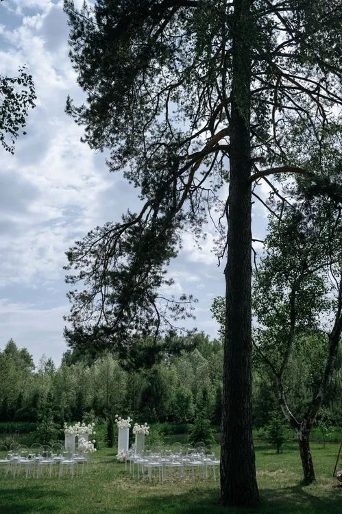 Фото 31, Дмитрий и Анастасия