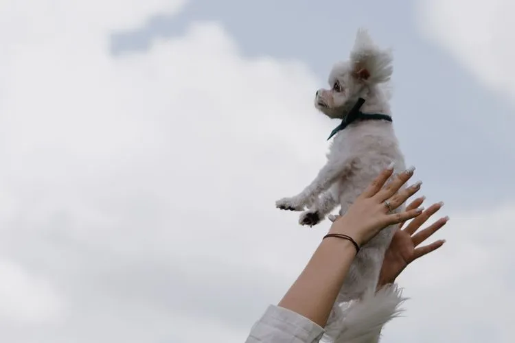 Фото 1, Максим и Василиса