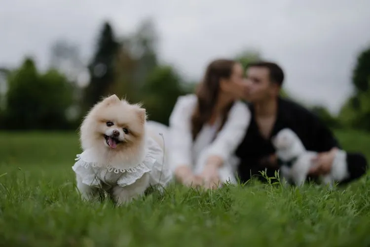 Фото 12, Максим и Василиса